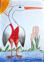 Remková Marcela.jpg